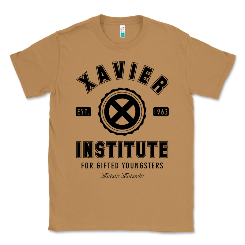 Xavier Institute Classic Tee by linhVisuals | Teevron