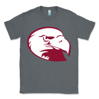Charcoal Heather lock haven bald eagles Classic Tee - linhVisuals