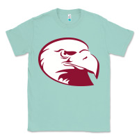 Seafoam lock haven bald eagles Classic Tee - linhVisuals