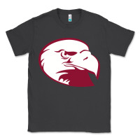 Smoke lock haven bald eagles Classic Tee - linhVisuals