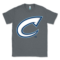 Charcoal Heather columbus clippers Classic Tee - linhVisuals