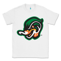 White down east wood ducks Classic Tee - linhVisuals