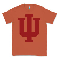 Copper indiana gifts Classic Tee - linhVisuals