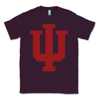 Plum indiana gifts Classic Tee - linhVisuals