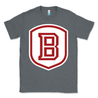 Charcoal Heather Bradley University Athletics Classic Tee - linhVisuals