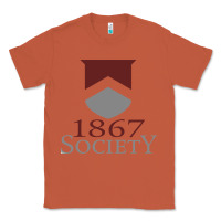 Copper porter gaud school Classic Tee - linhVisuals