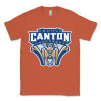 Copper suny canton Classic Tee - linhVisuals
