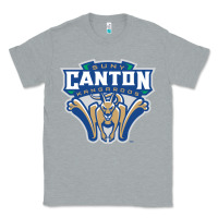 Heather Grey suny canton Classic Tee - linhVisuals