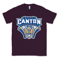 Plum suny canton Classic Tee - linhVisuals