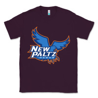 Plum suny new paltz Classic Tee - linhVisuals