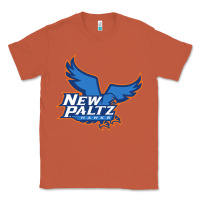 Copper suny new paltz Classic Tee - linhVisuals