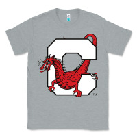 Heather Grey suny cortland red dragons Classic Tee - linhVisuals