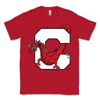 Red suny cortland red dragons Classic Tee - linhVisuals