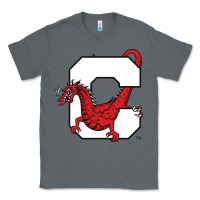 Charcoal Heather suny cortland red dragons Classic Tee - linhVisuals