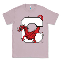 Lilac suny cortland red dragons Classic Tee - linhVisuals