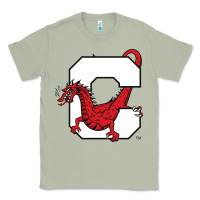 Matcha suny cortland red dragons Classic Tee - linhVisuals
