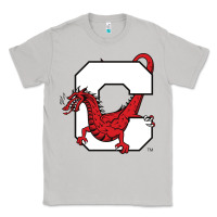 Moon Dust suny cortland red dragons Classic Tee - linhVisuals