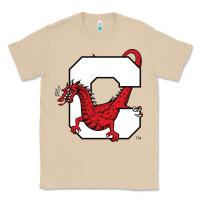 Mushroom suny cortland red dragons Classic Tee - linhVisuals