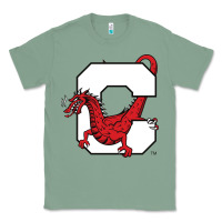 Sage suny cortland red dragons Classic Tee - linhVisuals