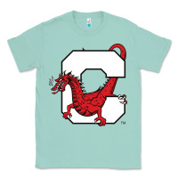 Seafoam suny cortland red dragons Classic Tee - linhVisuals
