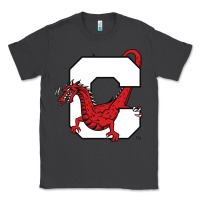Smoke suny cortland red dragons Classic Tee - linhVisuals