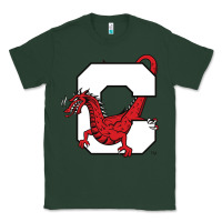 Sports Green suny cortland red dragons Classic Tee - linhVisuals