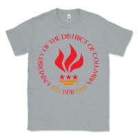 Heather Grey university of the district of columbia Classic Tee - linhVisuals