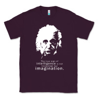 Plum albert einstein quote1 Classic Tee - linhVisuals
