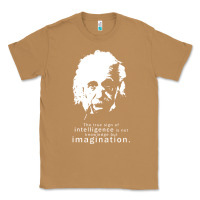 Toasted Coconut albert einstein quote1 Classic Tee - linhVisuals