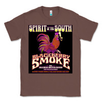 Chestnut #blackberry smoke spirit of the south tour 2022 Classic Tee - linhVisuals