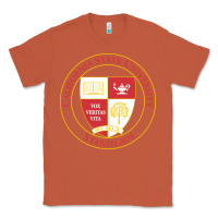 Copper Csu Stanislaus Classic Tee - linhVisuals