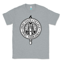 Heather Grey Peru State College Classic Tee - linhVisuals