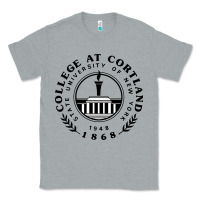 Heather Grey Suny Cortland Classic Tee - linhVisuals