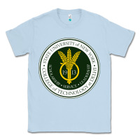 Dusty Blue Suny Delhi Classic Tee - linhVisuals