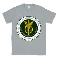 Heather Grey Suny Delhi Classic Tee - linhVisuals