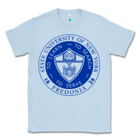 Dusty Blue Suny Fredonia Classic Tee - linhVisuals