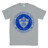 Heather Grey Suny Fredonia Classic Tee - linhVisuals