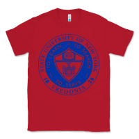 Red Suny Fredonia Classic Tee - linhVisuals