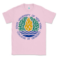 Bubblegum Pink Suny Geneseo Classic Tee - linhVisuals