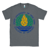 Charcoal Heather Suny Geneseo Classic Tee - linhVisuals