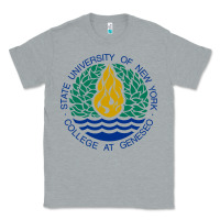Heather Grey Suny Geneseo Classic Tee - linhVisuals
