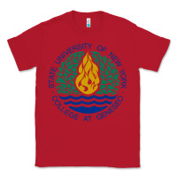 Red Suny Geneseo Classic Tee - linhVisuals