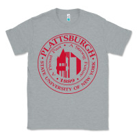 Heather Grey Suny Plattsburgh Classic Tee - linhVisuals