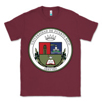 Burgundy Upr At Arecibo Classic Tee - linhVisuals