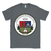 Charcoal Heather Upr At Arecibo Classic Tee - linhVisuals