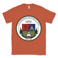 Copper Upr At Arecibo Classic Tee - linhVisuals