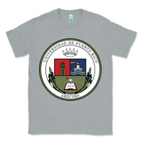 Heather Grey Upr At Arecibo Classic Tee - linhVisuals