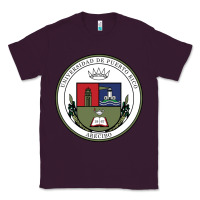 Plum Upr At Arecibo Classic Tee - linhVisuals