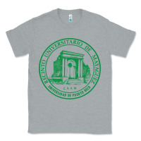 Heather Grey Upr At Mayaguez Classic Tee - linhVisuals