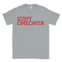 Heather Grey Suny Oneonta Wordmark Classic Tee - linhVisuals